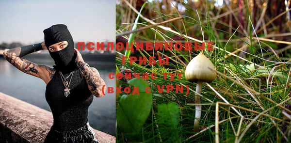 дживик Киреевск